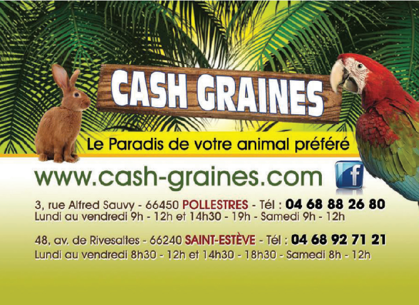 cash graines